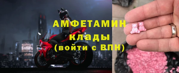 молекула духа Вязьма