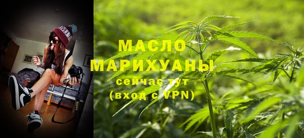 молекула духа Вязьма