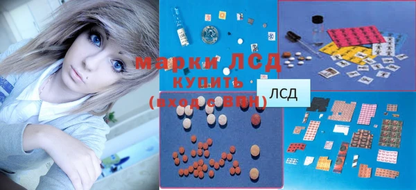 прущий лед Горняк