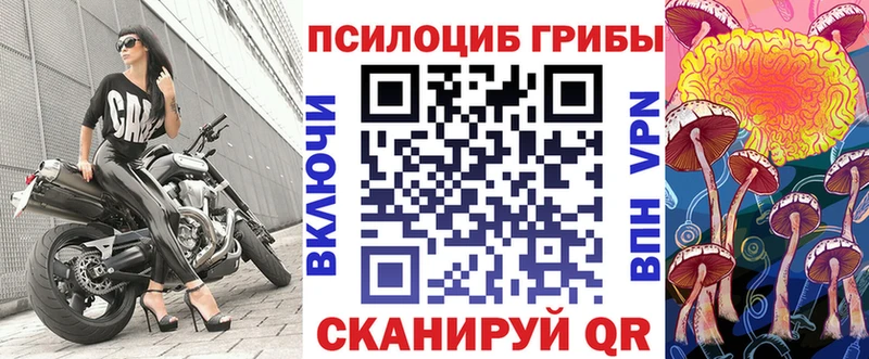 Галлюциногенные грибы GOLDEN TEACHER  Жердевка 